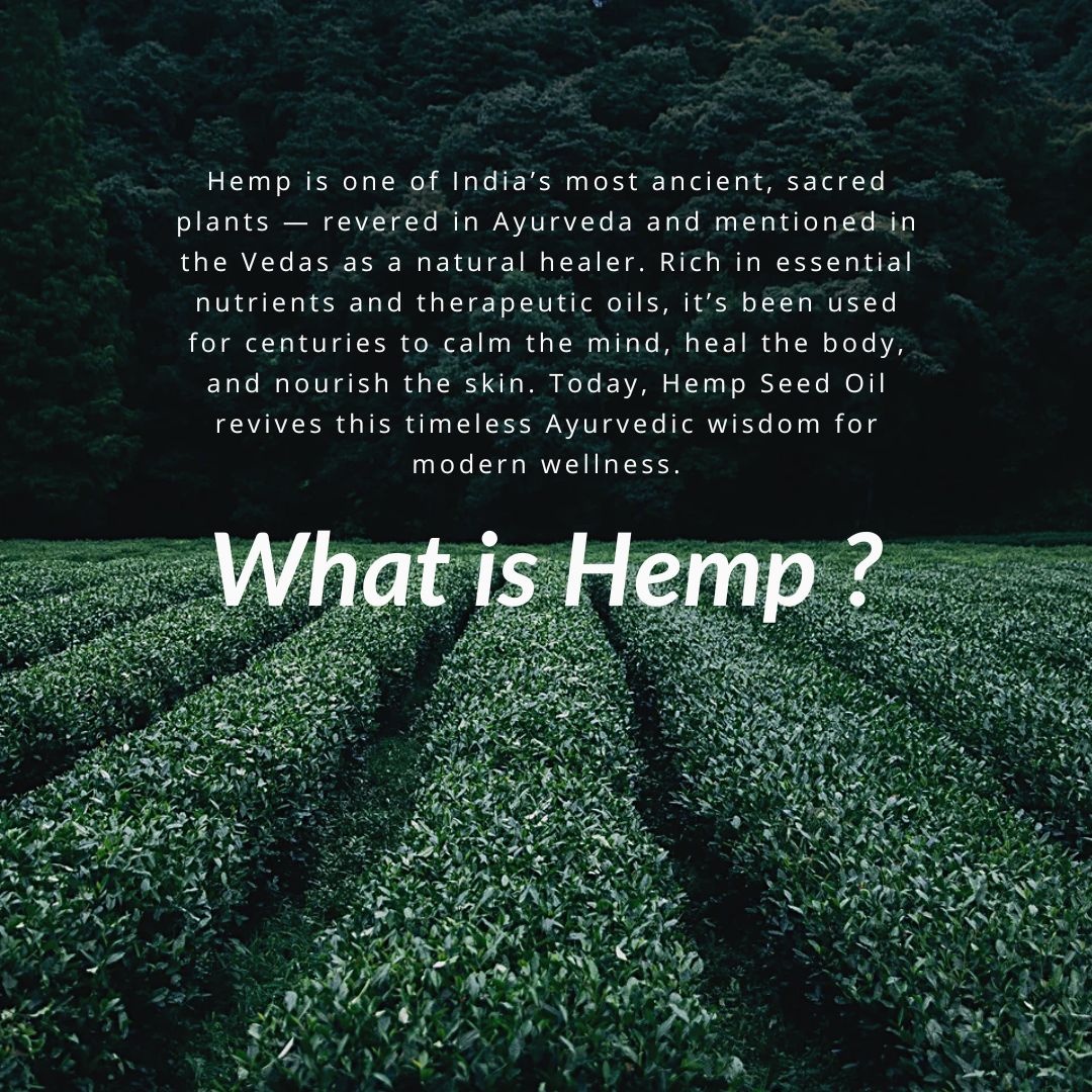 Cold Pressed Unrefined Hemp Seed Oil