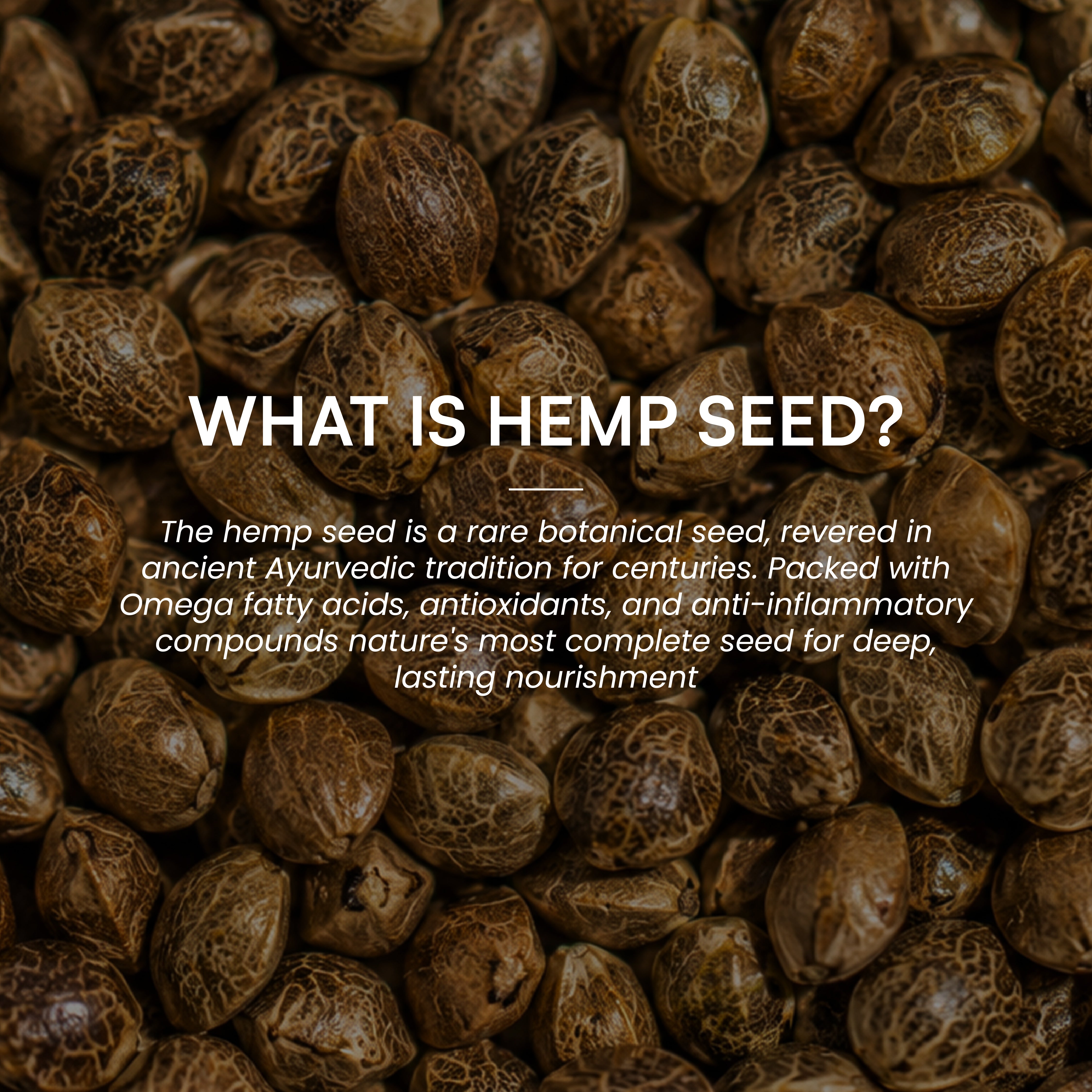 Hemp Seed Oil (Cold-Pressed)
