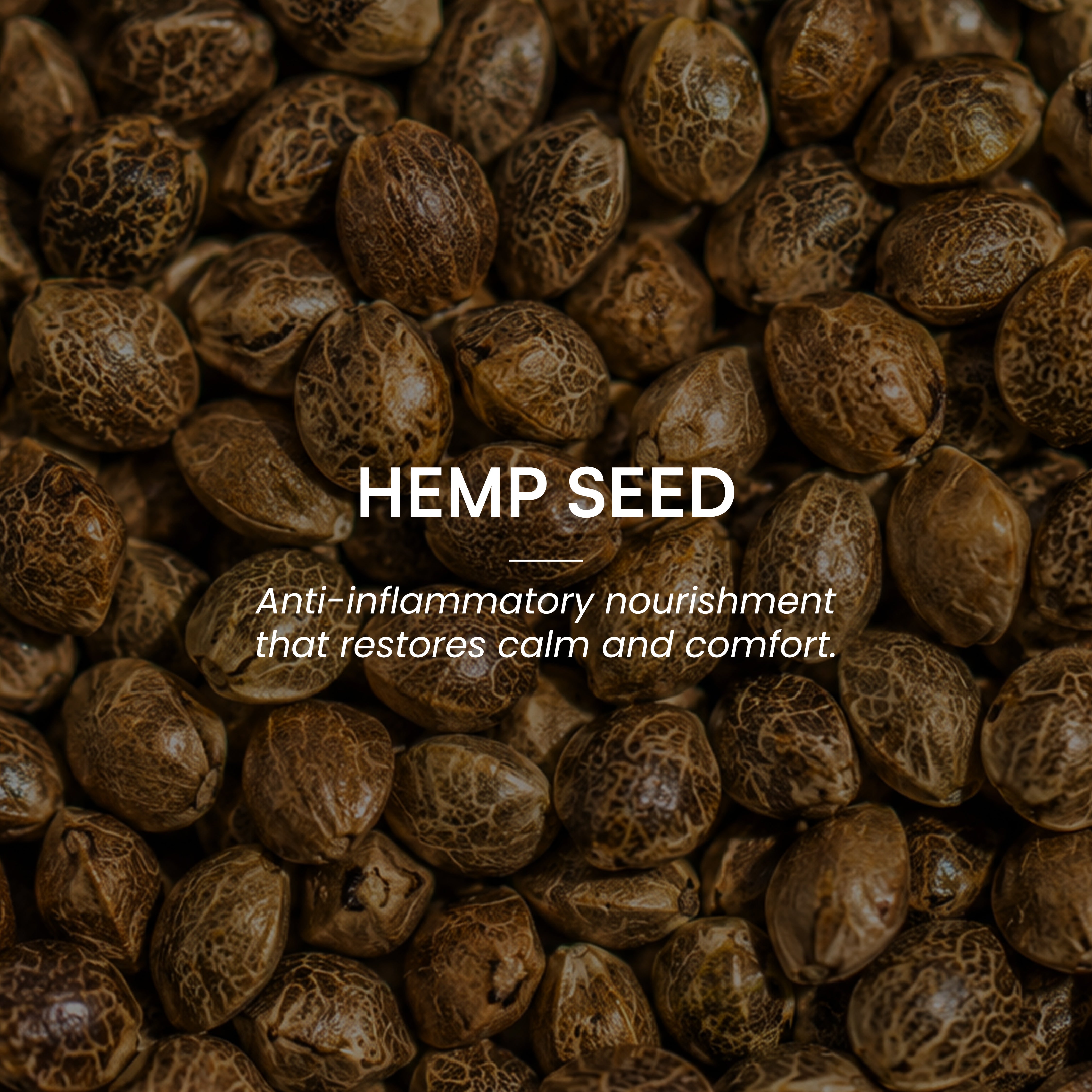 Hemp Seed Oil (Cold-Pressed)