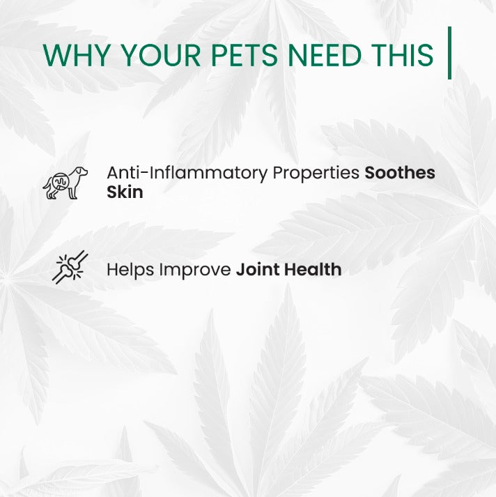 Hemp Seed Oil For Pets